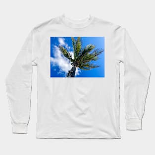 A Palm Tree in the Sky Long Sleeve T-Shirt